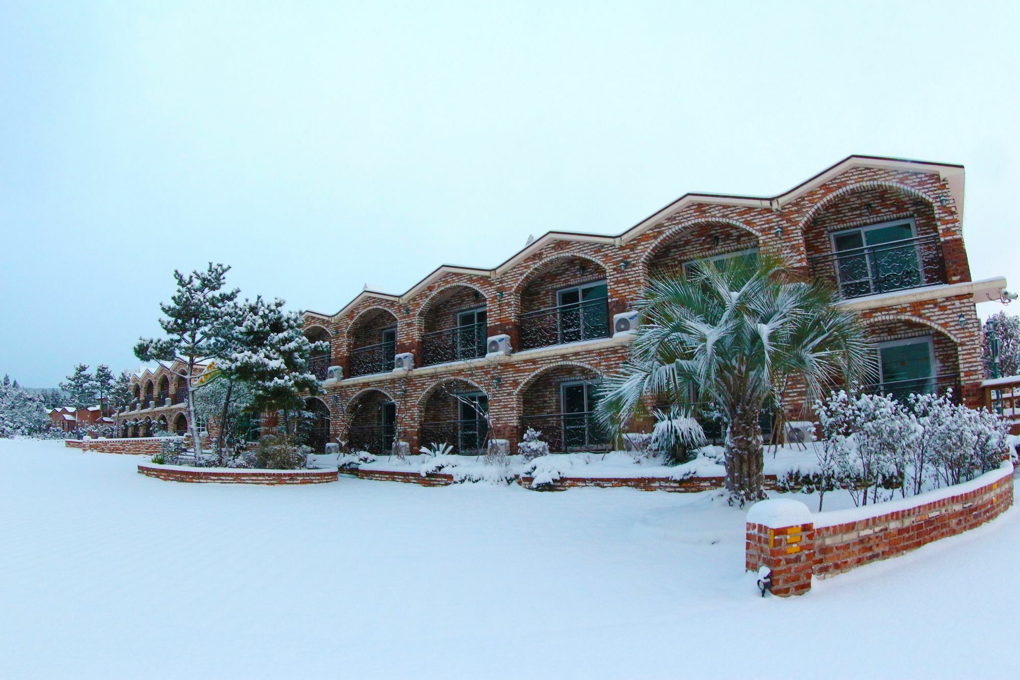 Jeju Ts Youth Hostel & Resort Szogüpho Kültér fotó